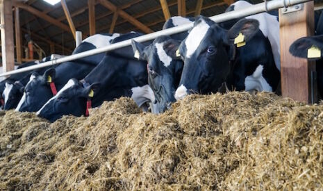 Allemagne: 120 Mds d’exportations de produits agroalimentaires et toujours déficitaire