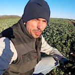 La fertilisation du colza a déjà commencé