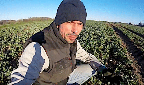 La fertilisation du colza a déjà commencé
