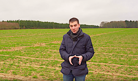 Fertilisation des céréales en azote, soufre et phosphore