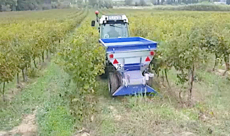 La fertilisation de la vigne bio