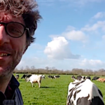 Fin du confinement… pour les vaches !