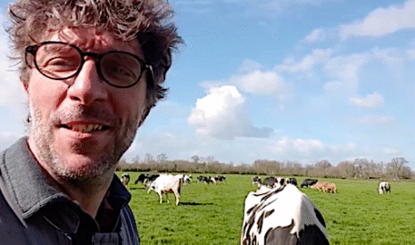Fin du confinement… pour les vaches !