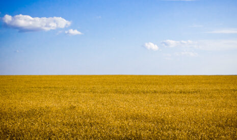 La production agricole ukranienne soumise à plusieurs aléas