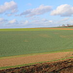 Lutte contre l’accaparement des terres agricoles, décision jeudi… Ou après la Présidentielle !
