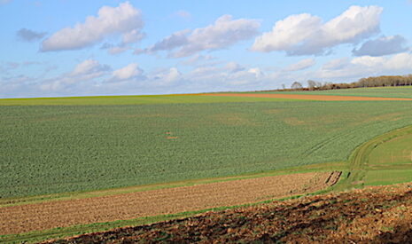 Lutte contre l’accaparement des terres agricoles, décision jeudi… Ou après la Présidentielle !