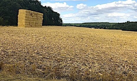 Foncier agricole, ces centaines de milliers d’hectares qui échappent au contrôle des Safer