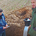 Sols agricoles, l’étude du profil cultural pour connaitre le potentiel de production