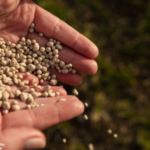Quel est l’intérêt d’une fertilisation soufrée en complément de l’azote sur les prairies ?