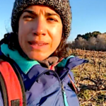 Le froid hivernal est favorable à la vigne