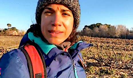 Le froid hivernal est favorable à la vigne