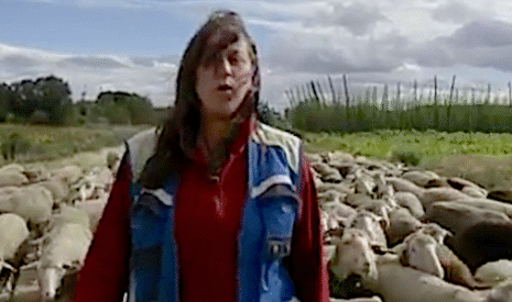 Le superbe clip des éleveuses espagnoles qui louent le pastoralisme