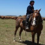 L’Argentine, un géant vert