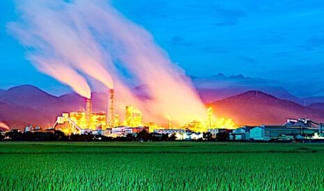 Plus bio en 2030, l’agriculture européenne émettra autant de gaz à effet de serre