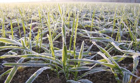 « L’assurance climatique, l’assurance coup dur » (Gwénaël Simon, directeur assurances des particuliers, professionnels et agricoles de Groupama)