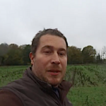 Cochons, bisons, vaches, ou passage de chisel, un panorama de superbes vidéos agricoles