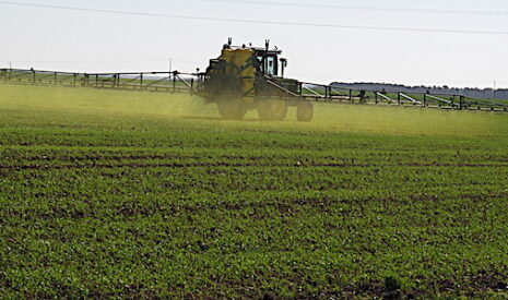 Glyphosate, pourquoi les agriculteurs craignent-ils plus une perte de rendements que pour leur santé