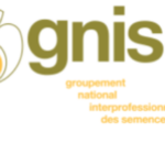 Filière semences certifiées de céréales, innovation de croissance exceptionnelle