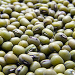 D’ici 2030, les oléo-protéagineux freineront l’essor de la production d’huile de palme