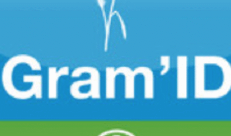 Identifier les graminées avec Gram’ID