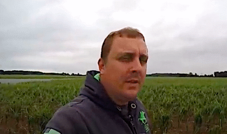 Lentilles et colzas, gros dégâts de grêle dans la Vienne