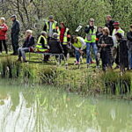 Mare aux grenouilles, l’enjeu du conflit entre voisins glisse sur le terrain écologique