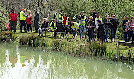 Mare aux grenouilles, l’enjeu du conflit entre voisins glisse sur le terrain écologique