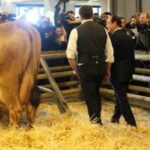 Et si on disait la vérité au Salon de l’agriculture ?