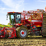 Arrachage des betteraves, Holmer roule pour Oppel