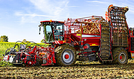Arrachage des betteraves, Holmer roule pour Oppel