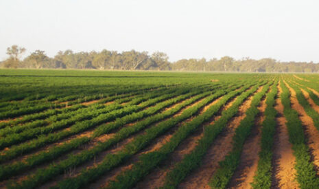 BASF finalise l’acquisition de Becker Underwood