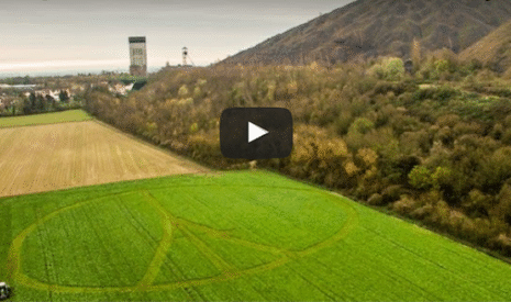 Mon hommage agricole aux victimes de Paris