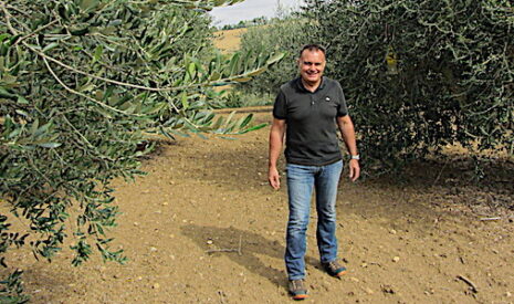 Policier municipal, il produit de l’huile d’olive par passion