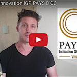 Innovation vinicole, la création de l’IGP pays d’Oc