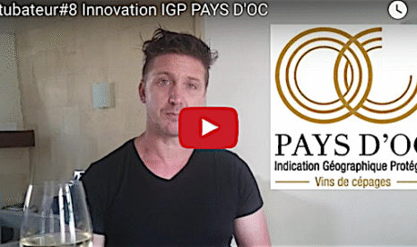 Innovation vinicole, la création de l’IGP pays d’Oc
