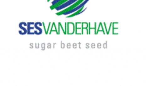 SESVanderhave publie un brevet* pour optimiser la conservation des betteraves sucrières en silo.