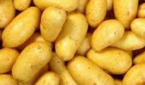 Un accord pour des frites cent pour cent pommes de terre françaises