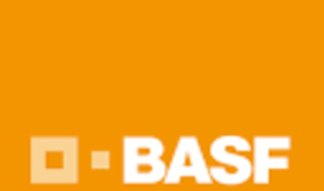 BASF lance un simulateur pour mesurer les pertes liées aux maladies du bois
