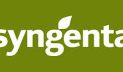 Syngenta France lance sa deuxième solution SDHI en fongicides céréales efficace sur les principales maladies foliaires