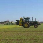 Quelle stratégie pour lutter efficacement contre la Septoriose?