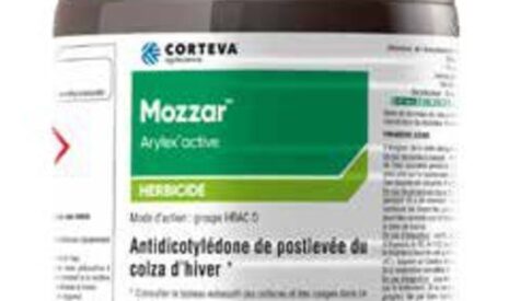 Colza, un désherbage en post-levée pour plus d’efficacité