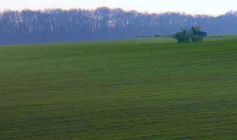 Céréales, réussir son désherbage d’automne