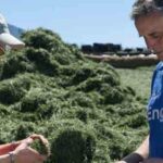 Une exploitation de l’herbe de plus en plus technique