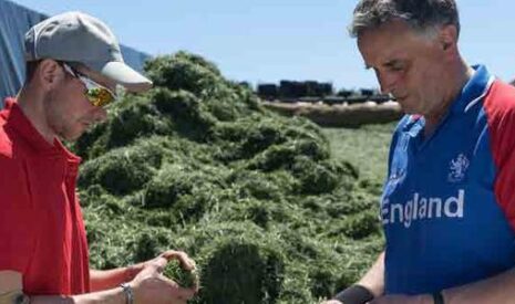 Une exploitation de l’herbe de plus en plus technique