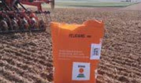 Semis de colza, de l’importance d’une implantation réussie