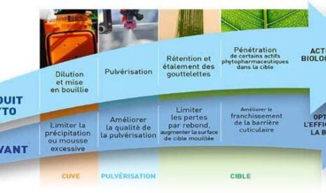 Les adjuvants confortent leur place