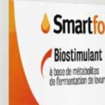 Les biostimulants foliaires aident les cultures à gérer les stress