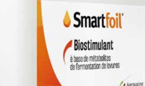 Les biostimulants foliaires aident les cultures à gérer les stress