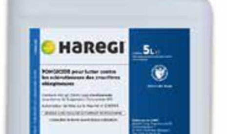 Assurer une bonne protection fongicide à son colza