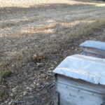 Les réservoirs de biodiversité en question